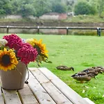 Quackers 惠特比