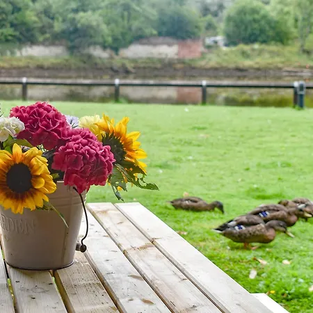 Quackers Whitby